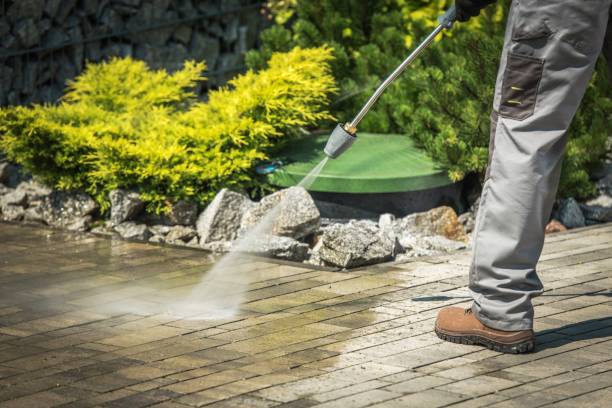 Best Roof Washing  in Farmersburg, IN